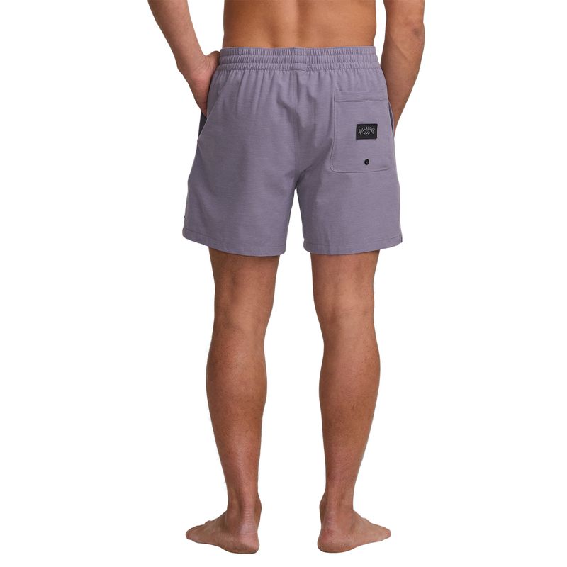 Ropa-de-Baño-Para-Hombre-Every-Other-Day-LB-Morado-Billabong