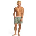 Ropa-de-Baño-Para-Hombre-Dbah-Panel-LB-Verde-Billabong